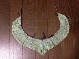 Banana Leaf Shawl