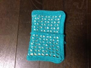 X. Crochet Hook Case1